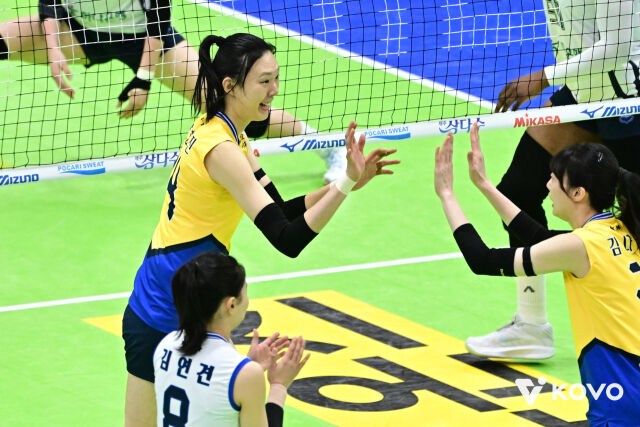 현대건설 선수단./KOVO