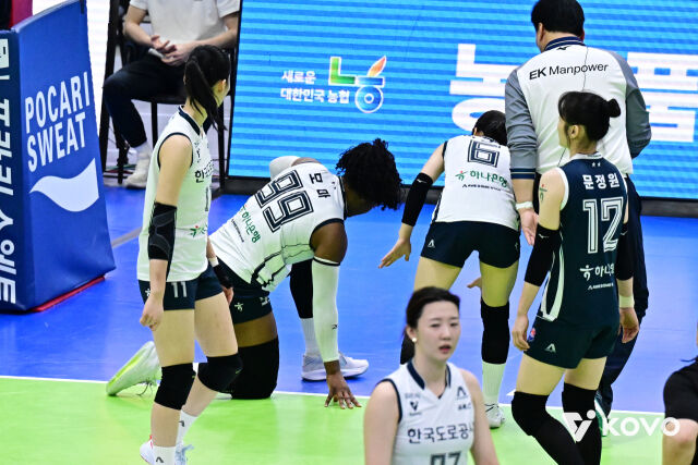 도로공사 모마./KOVO