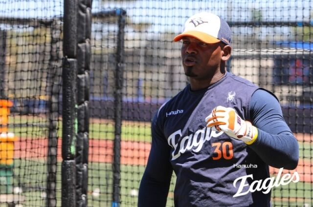 한화 이글스 페라자./한화 이글스