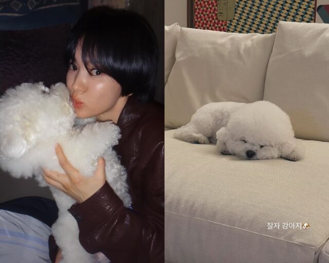 배우 송혜교, 송혜교가 게재한 사진/송혜교 소셜미디어