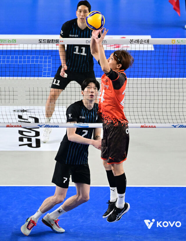 하마다 쇼타./KOVO