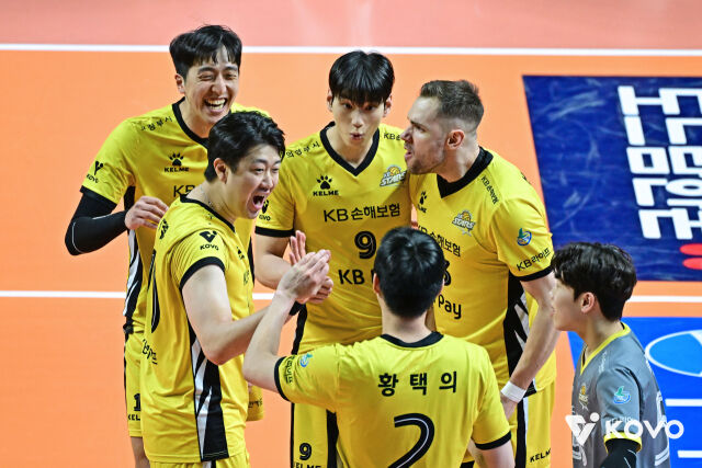 KB손해보험./KOVO