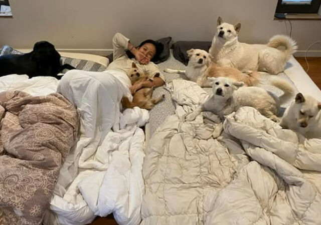 이효리./소셜미디어