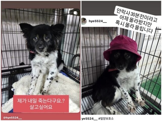 서동주 게시물./소셜미디어