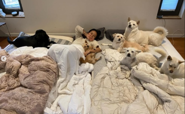 이효리는 지난 1일 자신의 SNS에 “힘들고 엉망진창이라 느껴지시나요? 하지만 훗날 뒤돌아보면 가장 행복했던 순간이었음을”이라는 문구와 함께 여러 장의 사진을 게재하며 근황을 전했다./이효리 소셜미디어