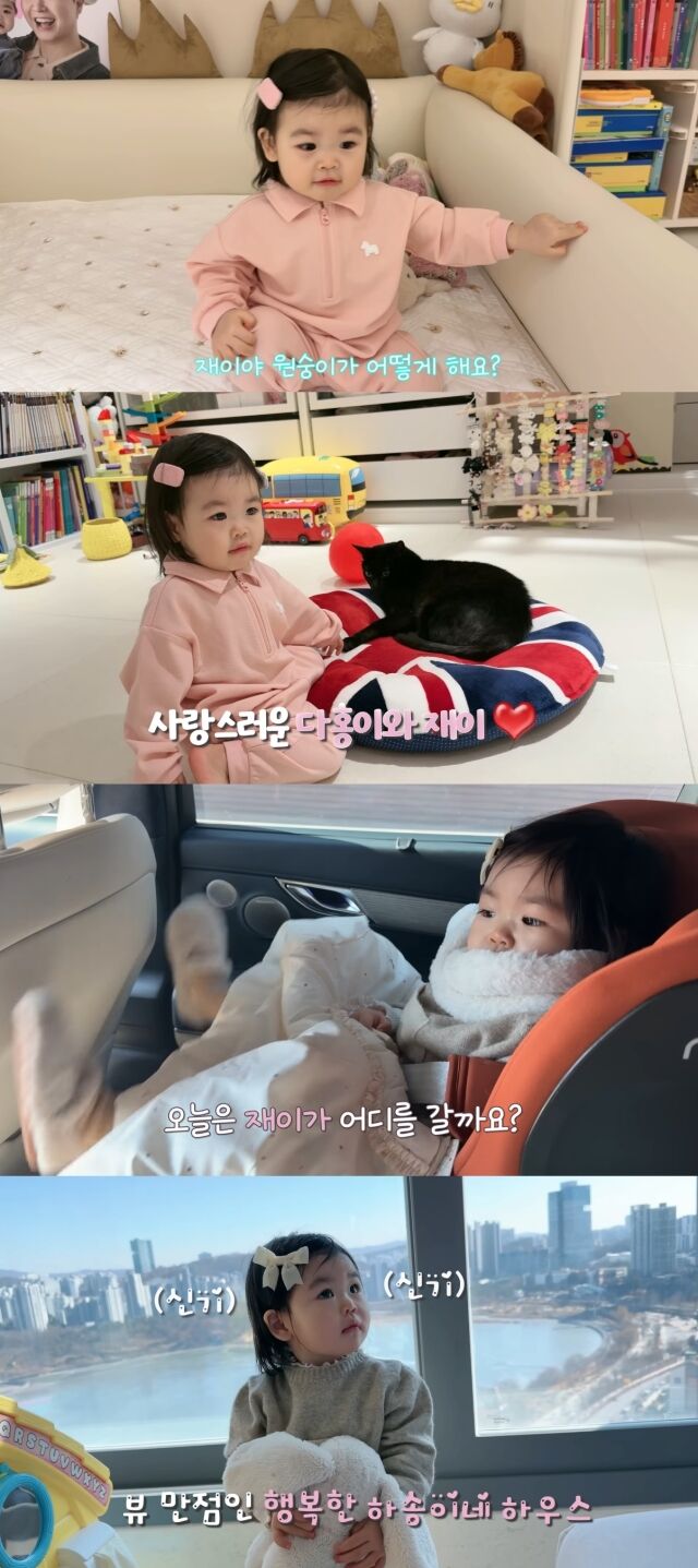 유튜브 채널 '박수홍 행복해다홍'/유튜브 채널 '박수홍 행복해다홍' 영상 캡처