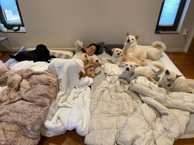 이효리가 정월대보름을 맞아 소박한 일상을 전했다. / 이효리 SNS