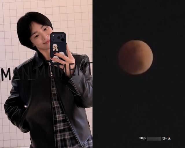 배우 송혜교, 송혜교가 게재한 사진/송혜교 소셜미디어