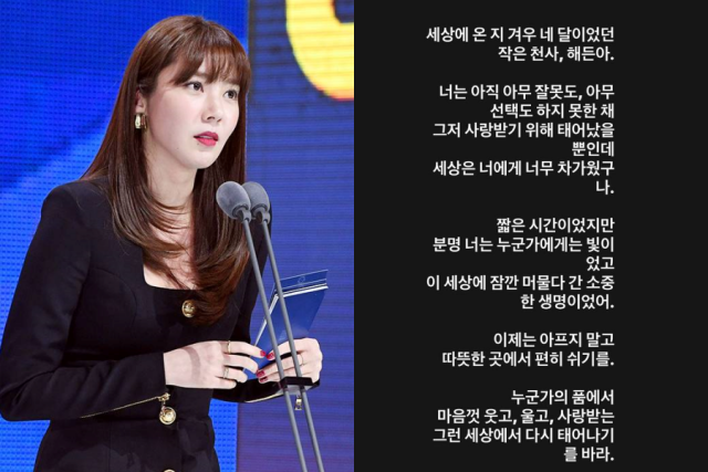 손담비 / 마이데일리