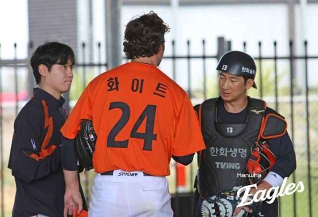 한화 이글스 최재훈./한화 이글스