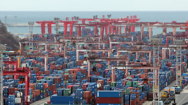 지난 1일 부산 남구 신선대 부두 야적장에 수출입 컨테이너가 쌓인 모습 /뉴시스