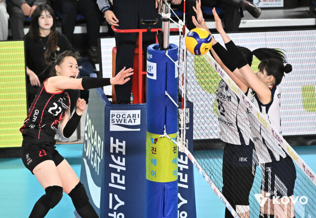 정관장 박여름/KOVO