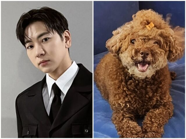 이주승, 코코./소셜미디어