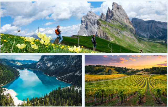 돌로미티 여행과 이탈리아 와이너리 . /롯데관광
