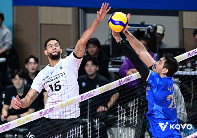 레오-아라우조./KOVO