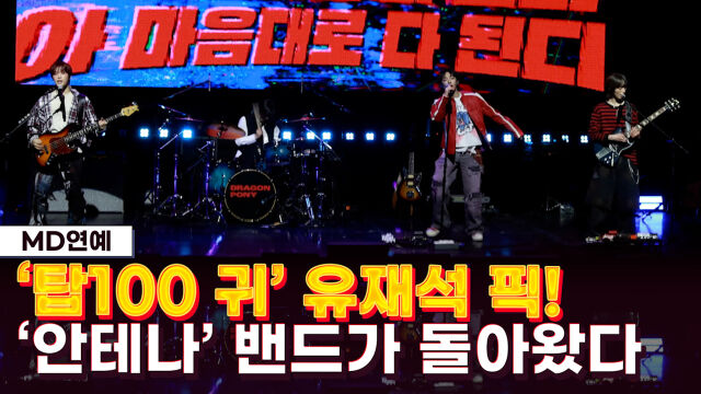 드래곤포니 / 마이데일리