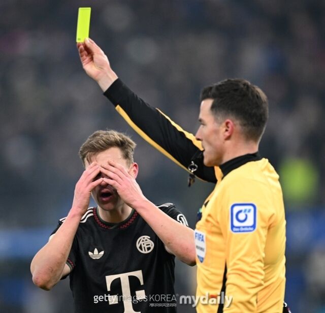 키미히/게티이미지코리아