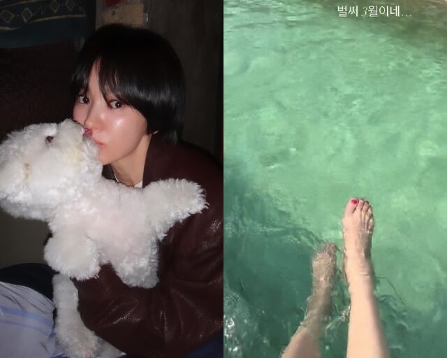 배우 송혜교, 송혜교가 게재한 사진/송혜교 소셜미디어