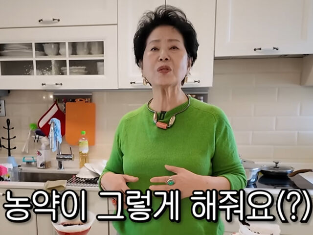 선우용여가 농약에 대해 잘못된 정보를 말해 논란이 됐다. / 유튜브 '순풍 선우용여'