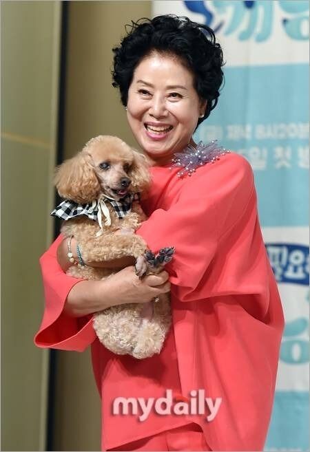 배우 선우용여/마이데일리 DB