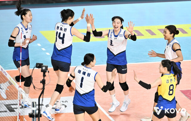 현대건설 선수단./KOVO