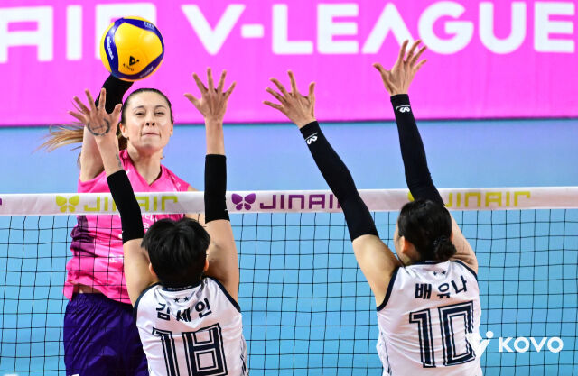 흥국생명 레베카/KOVO