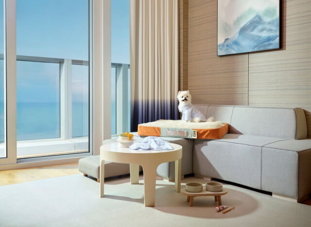 시그니엘 부산 펫 객실에 비치된 ‘N32 쪼꼬미’. /롯데호텔앤리조트 제공