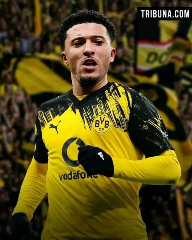 제이든 산초./트리뷰나