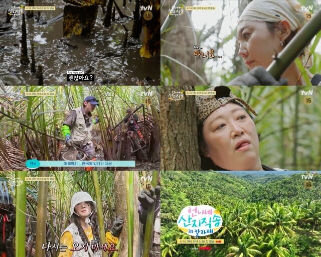 / tvN '언니네 산지직송 in 칼라페'