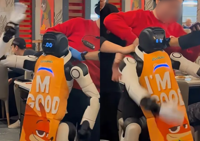 최근 미국 캘리포니아주 산호세에 위치한 훠궈 프랜차이즈 '하이디라오' 매장에서 발생한 로봇 오작동 영상이 온라인상에서 큰 화제를 모았다. /엑스(X·옛 트위터) 캡처