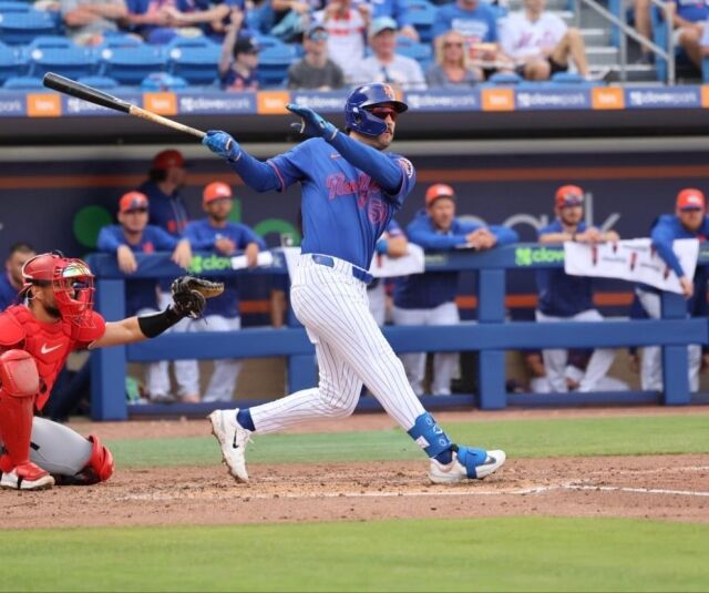 뉴욕 메츠 마이크 터크먼./메츠 머라이즈드 온라인 캡처