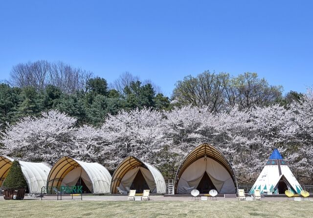 /워커힐호텔앤리조트