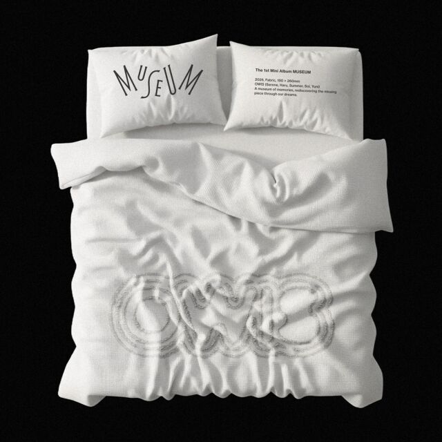 / 올마이애닉도츠