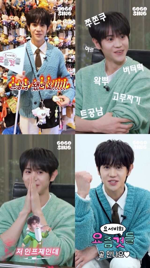 사진 = '고고씽 (GOGOSING)' 유튜브 캡처