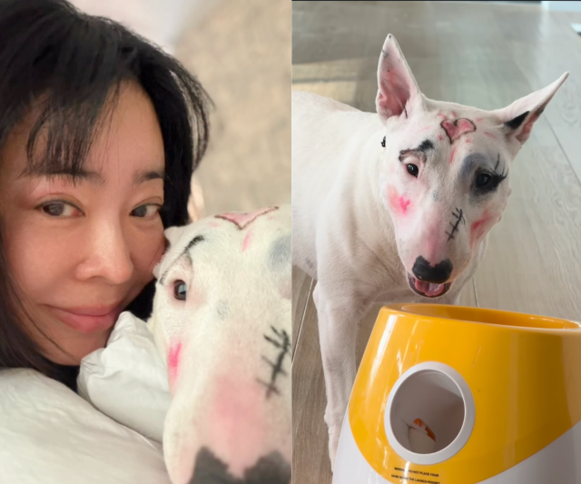 이혜영이 반려견 학대 논란에 휩싸였다. / 이혜영 SNS