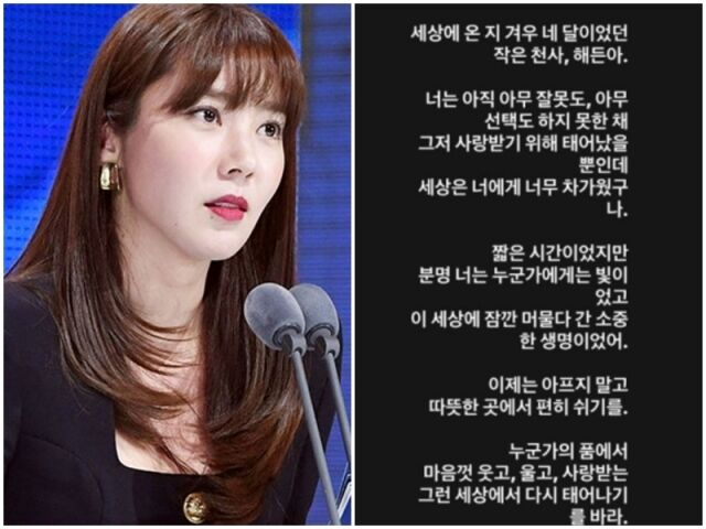 손담비./소셜미디어