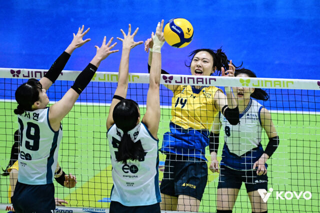 현대건설 양효진/KOVO