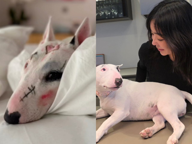 배우 이혜영/이혜영 인스타그램