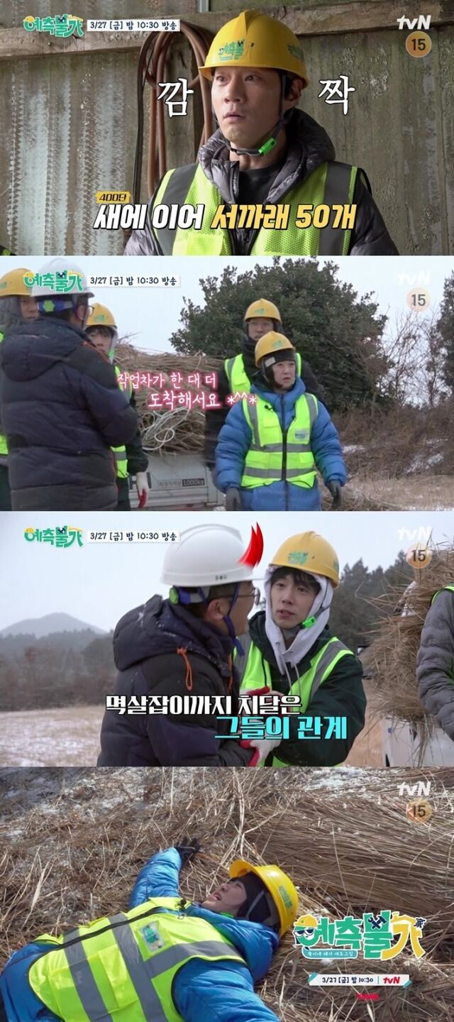 tvN '예측불가[家]'/tvN