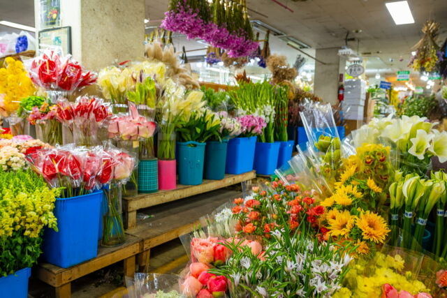 양재 꽃시장. /서울관광재단