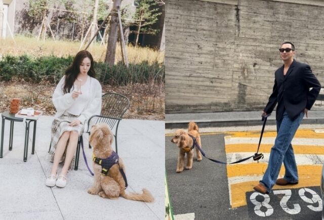 그룹 소녀시대 멤버 겸 배우 티파니(왼쪽)와 배우 변요한이 같은 반려견을 데리고 산책하는 모습을 공개했다. / 티파니 및 변요한 소셜미디어