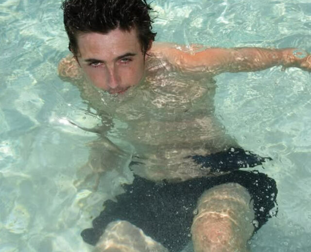 티모시 샬라메./소셜미디어