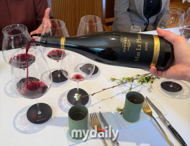 마스라플라나./이지혜 기자