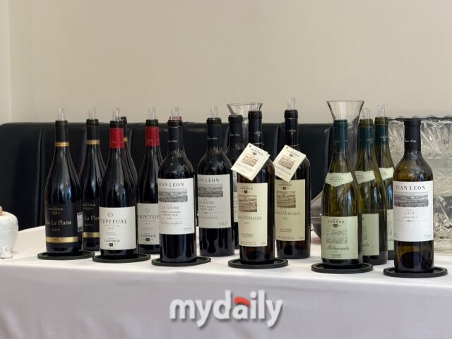 파밀리아 토레스 와인/이지혜 기자