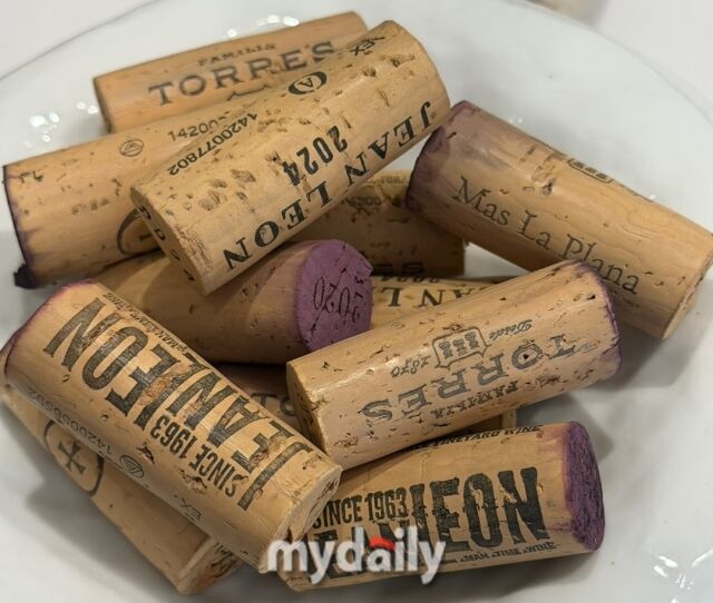 파밀리아 토레스 와인/이지혜 기자