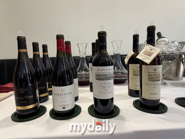 파밀리아 토레스 와인/이지혜 기자