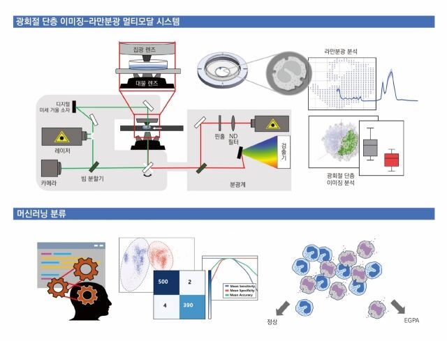 광회절 단층 이미징-라만분광 멀티모달 시스템과 머신러닝 분류. /서울아산병원
