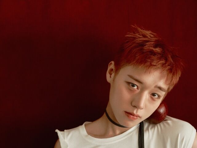 가수 박지훈 싱글 앨범 '리플렉트' 두 번째 콘셉트 포토 / YY엔터테인먼트