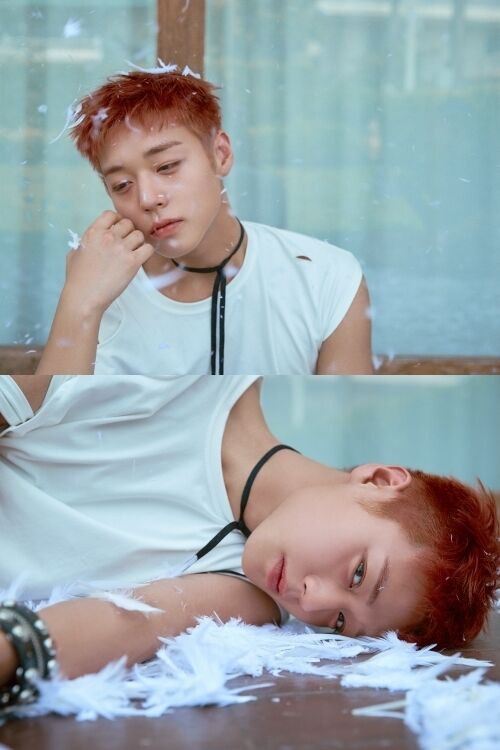 가수 박지훈 싱글 앨범 '리플렉트' 두 번째 콘셉트 포토 / YY엔터테인먼트