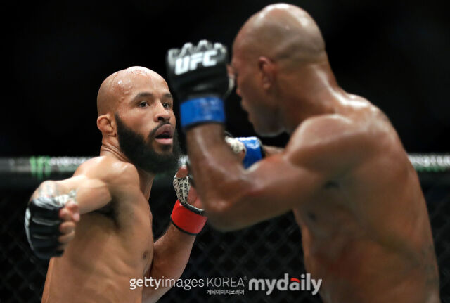 펀치를 날리는 존슨(왼쪽). /게티이미지코리아